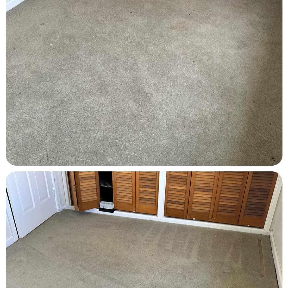 Beige bedroom carpet before and after cleaning, beside louvre wardrobe doors