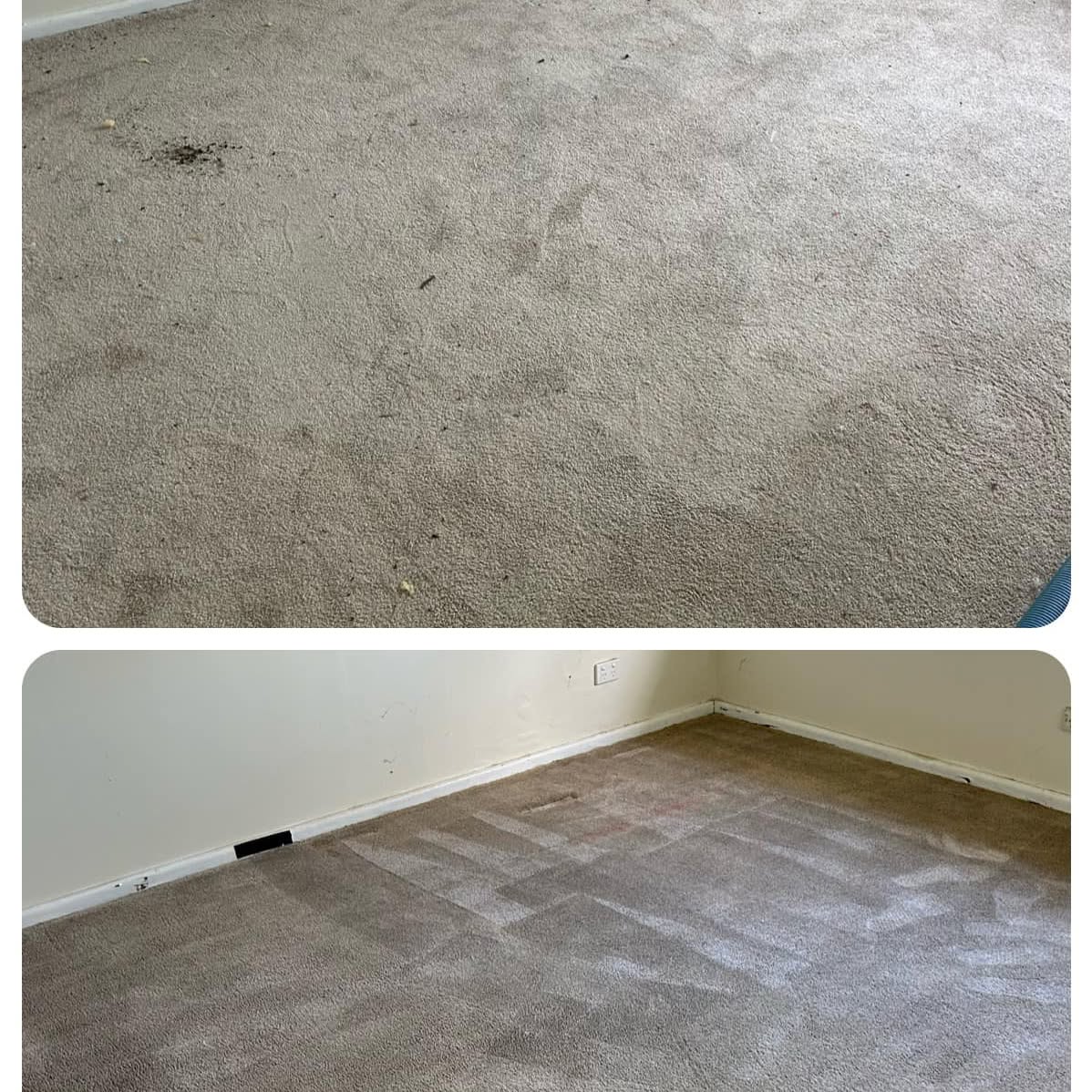 Heavily marked beige carpet before cleaning and clean carpet after