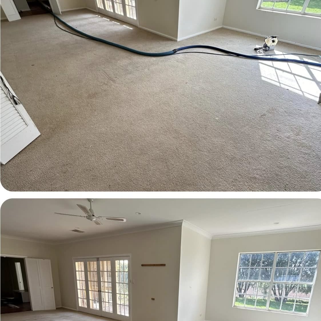 Cleaning hose across a lounge room carpet, then the finished room